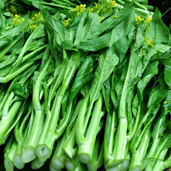 Chye Sim (Espinaca China)