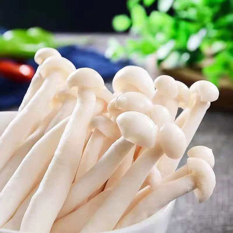 Hongo enoki