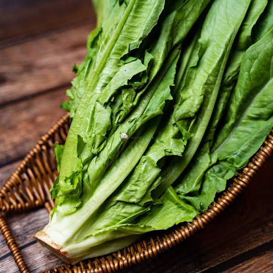 Lechuga De Hoja India