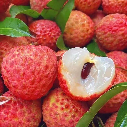 Litchi