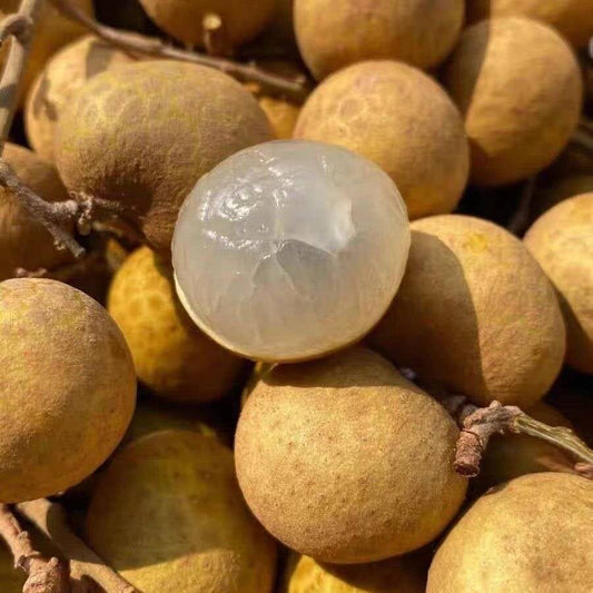 Longan Fruta Ojo De Dragon